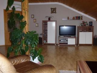 Ferienwohnung Fernblick - Freyung - 5