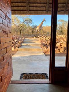 Pata Pata House - Marloth Park - 7