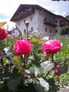 Schrotthof - Velturno - 8