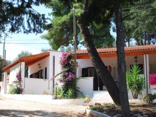 Althea Village Residence - 6