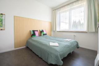 Sunny apartment - Olomouc - 1