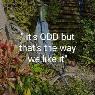 Vincentia Odd Cottage ( self catering) - East London - 0