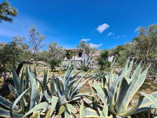 Orkula Hidden Paradise- Robinson Holiday House - Banj - 2
