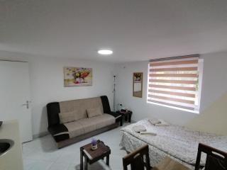Apartman Radojković - Soko Banja - 6