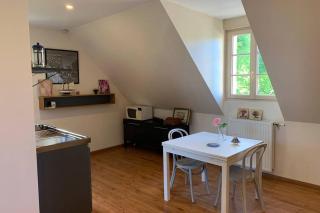 Studio indépendant dans maison neuve - Senlis - 1