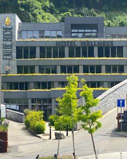 Hôtel WELLNESS EAU DE ROCHE Durbuy - Durbuy - 7
