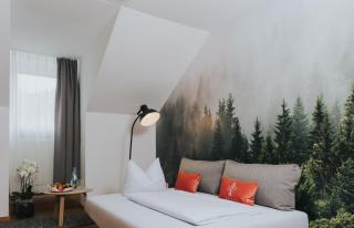 Hotel Drei Quellen Therme - Bad Griesbach - 1