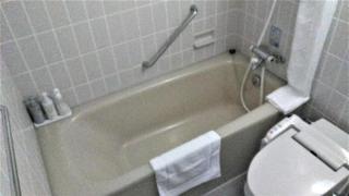 Satsuma Resort Hotel - Satsuma - 7