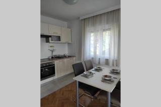 Prekrasan dvosobni apartman s pogledom na more 4+2 - 4