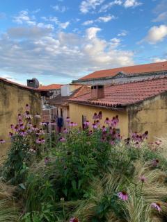 My Little Porto - Charming house in Miragaia, Porto - Porto - 6