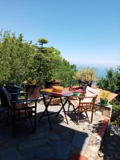 Traditional Guesthouse Erato - Palaios Panteleimonas - 5