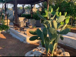 B&b Masseria Nova - Torre San Giovanni Ugento - 9