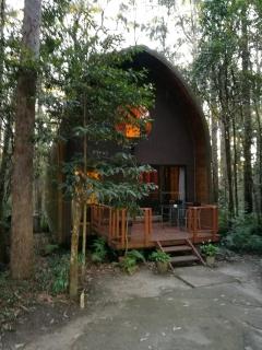 Springbrook Mountain Chalets - 9