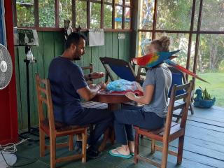 Cabañas alto del aguila - 2