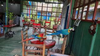Cabañas alto del aguila - Puerto Nariño - 0