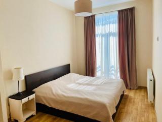 Cottage Near Didveli, Bakuriani - котедж в Бакуриани - 3