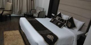 HOTEL PITRASHISH PRIDE IGI Intl AIRPORT DELHI - Nuova Delhi - 7