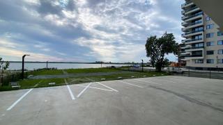 Myosotis Mamaia by the Lake - 1