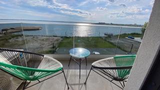 Myosotis Mamaia by the Lake - 8