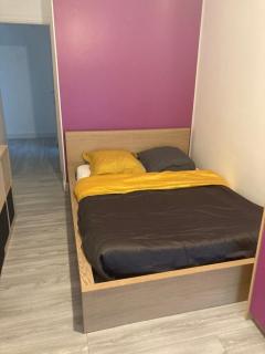 Chambres chez l'habitante Hermès à Blagnac - Blagnac - 9