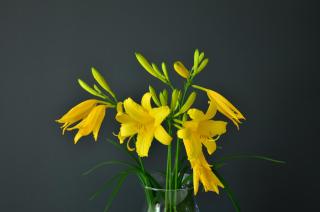 Casa Boller di TSS' - Ideale per Famiglie, Supermercato a 20m & Car Parking - 6