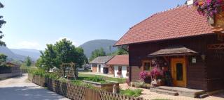 Chalet Taurachblick - Tamsweg - 1