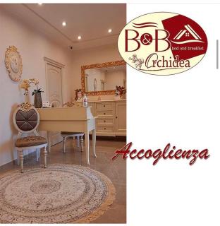 B&B Orchidea - Gioia Tauro - 2