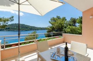 Pine Tree Apartment Zanetic - Blato - 6