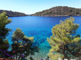 Pine Tree Apartment Zanetic - Blato - 7