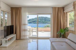 Pine Tree Apartment Zanetic - Blato - 4
