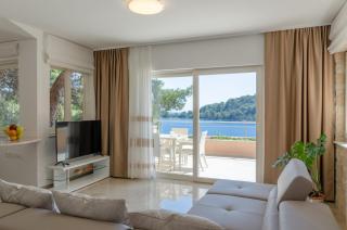 Pine Tree Apartment Zanetic - Blato - 0
