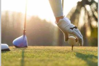 Appartement de charme plein coeur de Moulins - 2