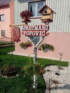 Apartment Home Popovic - Žabljak - 4