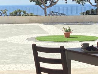 Bonsai - Tropea - 2