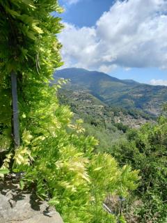 Dormire al Casale - San Mauro Cilento - 7