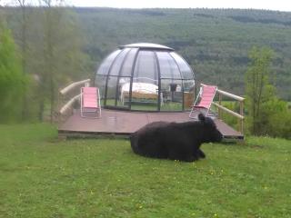 Ferme des baillards - 3