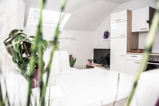 Apartment PourinGraz für Kunst- und Tennisliebhaber - Graz - 8