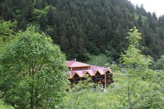Faraksi Bungalow & Otel - Uzungöl - 1