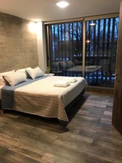 Excelente Apartamento, a metros del Parque San Martín! - Mendoza - 0