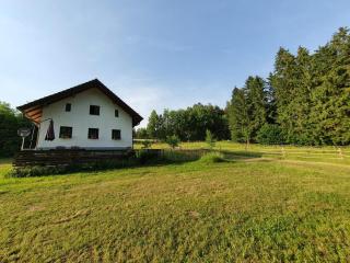 Ferienhaus am Dachsberg, Bayerischer Wald - Haselbach - 3