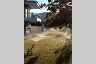 The Blue House - 5