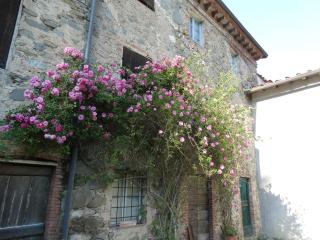 CASA CARLINO - Loppeglia - 7