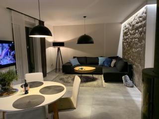 N39 - Apartament z JACUZZI i Kominkiem przy Lesie - Moszna - 5