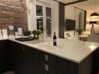 N39 - Apartament z JACUZZI i Kominkiem przy Lesie - Moszna - 1