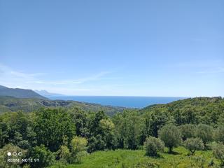 Casa Vacanze La Guardia - Tortorella - 1