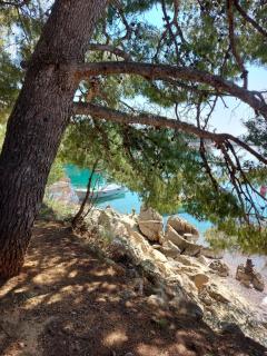 Apartment Ante and Dijana - Starigrad-Paklenica - 0