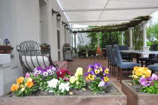 Restauracja - Hotel Pałacowa - Rogowo - 6