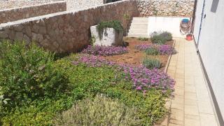 Lorena - Cres - 8