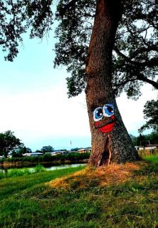 Mobilheim Campingplatz Nordloh - 4