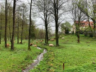 Agroturystyka Zacisze - Maciejowiec - 1